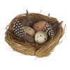 The Bridge Collection Faux Decorative Bird's Egg Nest - Cute