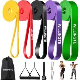 Bandas de Resistencia 5PCS,Ligas de Resistencia para Ejercicio,Elasticas Fitness,con Ancla de Puerta,2 Manijas, Ganchos y Bolsa,para Hombres y Mujeres