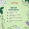 Pigna x Bridgerton,Kit per ceralacca,set timbro cucchiaio e cera