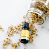 ECO. Modern Essentials Chamomile 3% (German) Essential Oil, 10ml