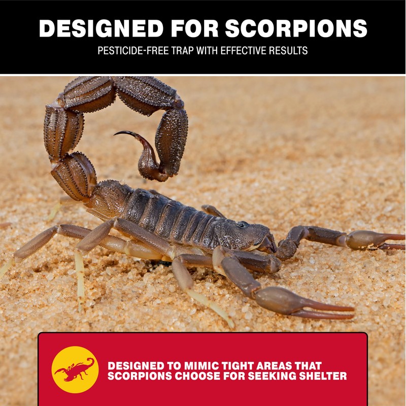 Catchmaster Scorpion Glue Tray Traps 6-Pack, Adhesive Scorpion Killer for