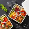 Inomata Chemical Locking Lunch Box (with inner container), Made in