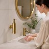 250ML Soap Dispenser for Bathroom - Wall-Mounted Brushed Stainless Steel