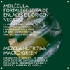 Aveda Botanical Repair Strengthening Shampoo | Fortalece y Repara