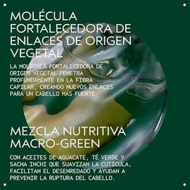 Aveda Botanical Repair Strengthening Shampoo | Fortalece y Repara