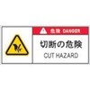 IM PL Warning Label Hazard Disconnect Hazard APL11-S Safety Sign