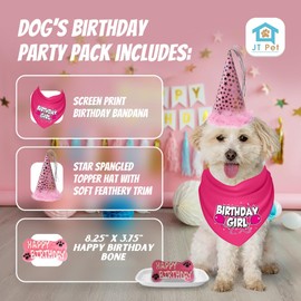JT PET Dog Birthday Girl Party Pack with Bandana, Star Spangled Party Hat with Adjustable Elastic, Tassels and Feathery Trim, and Vegan Birthday Bone, Large