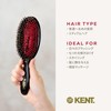 GB Kent Brush Pig Hair Brush Bristle & Nylon Pin