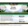 Orange Blossom Cream (2 oz, ZIN: 513617) - 2 Pack