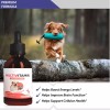 Aonai 2pcs Multivitamin Liquid drops for Dogs | Joint Support,