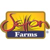 Setton Farm Plantain Chips with Sea Salt 7 Oz. Bag