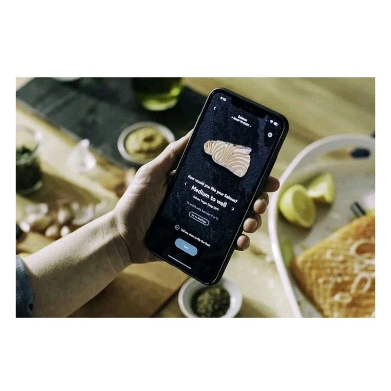 Smart Yummly Wireless Smart Meat Thermometer - Graphite (See Details