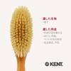 G.B.KENT All Care Clothes Brush High-Grade Pig Hair British Royal