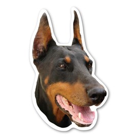 Magnet America Doberman Pinscher Dog Magnet is 5" x 3.125" Made for Vehicles and Refrigerators