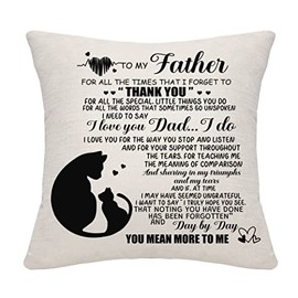 Thank You Gift Throw Pillow Cover for Dad Father Daddy from Daughter Son Dad Birthday Father's Day Thanksgiving (dad-c)