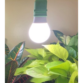 Miracle LED 6.5KK Professional Indoor Grow Light Bulb – 6500K Full Spectrum Replace 150W Grow Bulbs for Vegetables, Herbs, Hydroponics. (1-Pack)