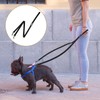 Psyqtsuary Two Point Control Dog Leash, Double Dog Leash, Training