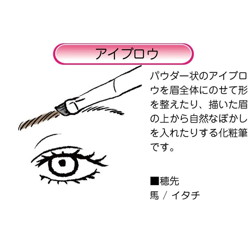 Akashiya H11-RG-22 Makeup Brush, High Grade Type, Fat, Eyebrow