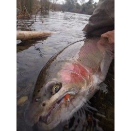 Irideus Small Fry Alevin Flies Smolt Fry Custom Minnow Baitfish Steelhead