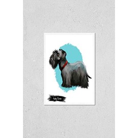 Poster Reproduction of Cesky terrier from Czechoslovakia. Pet with drop ears and short legs bohemian animal wearing red collar on neck. Hunting canine breed isolated on white background digital