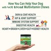 Dog Multivitamin Chewable with Glucosamine & Salmon Oil – Made