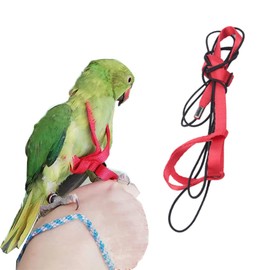 Anelekor Adjustable Birds Harness and Leash Parrot Harness Leash Training Supplies Pet Anti-bite Outdoor Flying Rope for Conures Budgerigar Lovebird Cockatiel Mynah (M, Red)
