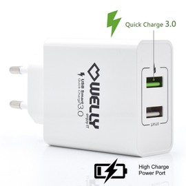 Welly Enjoy IT - USB Wall Charger - Dual Port - Fast Charge - 30W Power - Compact Size - Overheating Protection - White