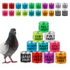 FULAIERGD Pack of 100 Multicoloured Aluminium Pigeon Leg Rings Identifying