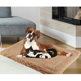 ADEPTNA Luxury Throw for Pet Dog Cat Puppy Soft Fluffy Microfibre Fleece Blanket super soft Cosy Warm Winter (Large 75 x 110cm)