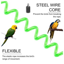 Andiker Parrot Flying Rope, 5 Meters Parrot Foot Chain Flying Training Leash Outdoor，Anti-Bite Elastic String Training Harness for Agapornis Fischeri Cockatiels Starling Birds (green)