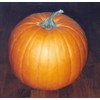 Pumpkin Jack'o Lantern Great Heirloom Vegetable by Seed Kingdom 25