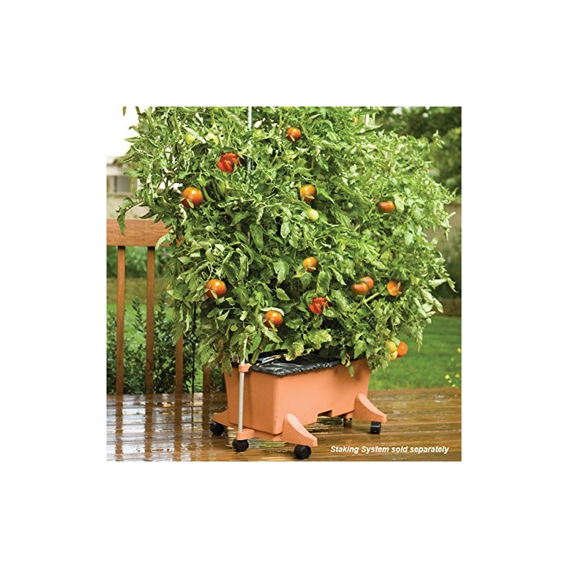 EarthBox® Container Gardening System - Terra