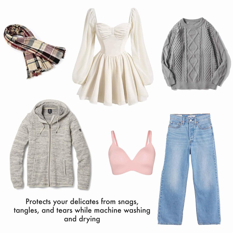 Woolite New And Improved Sanitized Treated- Large Mesh Wash Bag