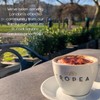 Caffè Tropea Roasted Swiss Water Decaf Coffee Beans - Medium