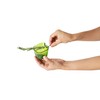 Chef'n ZipStrip Herb Stripper, Updated Design, Green