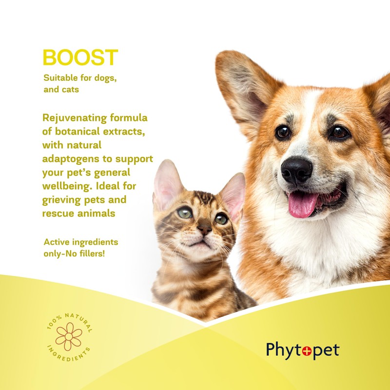 Phytopet Boost | 30ml | 100% Natural Herbal Remedy |