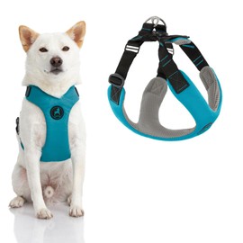 Gooby Convertible Z Harness, Turquoise, X-Large