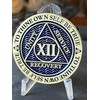 12 Year AA Medallion Reflex Antique Blue Sobriety Chip Serenity