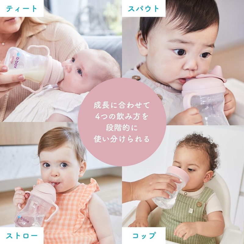 b.box Sippy Bottle to Cup Transition Value Pack for Babies