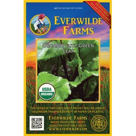 Everwilde Farms - 250 Organic Lutz Green Leaf Beet Seeds - Gold Vault Packet