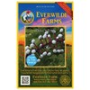 Everwilde Farms - 10 Doll's Eyes Native Wildflower Seeds -