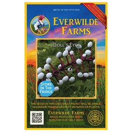 Everwilde Farms - 10 Doll's Eyes Native Wildflower Seeds - Gold Vault Jumbo Seed Packet