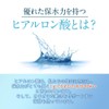 オーガランド ヒアルロン酸 粉末 10g 高純度 低分子 パウダー 低分子ヒアルロン酸 純度99.0％以上