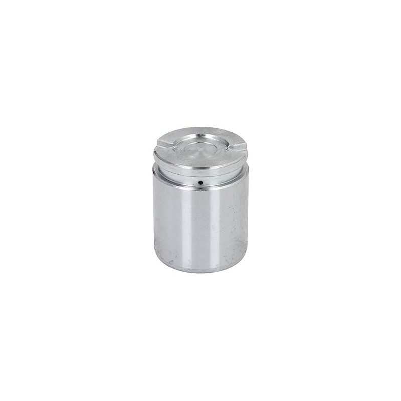 Autofren Seinsa D02593 Brake Caliper Piston