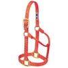 Weaver Leather Original Non-Adjustable Nylon Horse Halter, Average, Orange