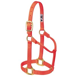 Weaver Leather Original Non-Adjustable Nylon Horse Halter, Average, Orange
