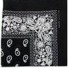 Kaiser Novelty Bandanas Paisley Cotton Bandanas (Black 22 X 22