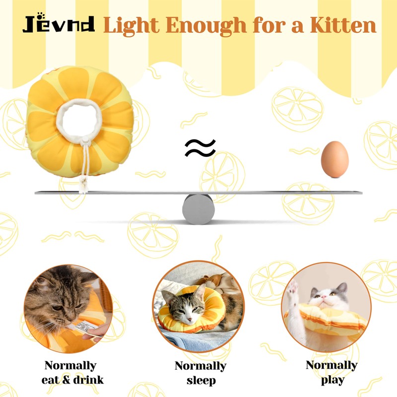 Jevnd Jevnd Kitten Cones After Surgery 0-6 Months, Donut Extra