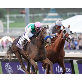 SPORTSPHOTOSUSA California Chrome & Arrogate 2016 Breeders Cup Classic Horse Race Racing 11X14 Photo