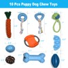 LHYILSWQ 10 Pack Puppy Dog Chew Toys Durable Rope Toys